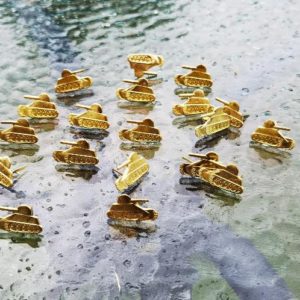 Insigne militare și semne de armată - Armata Română - imagine 2