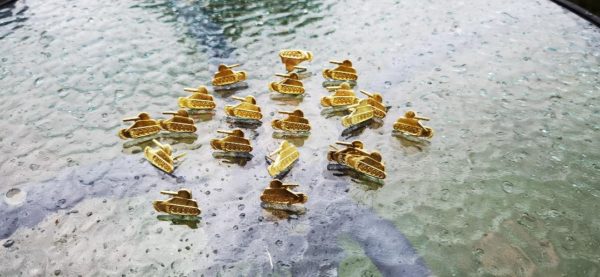 Insigne militare și semne de armată - Armata Română - imagine 2
