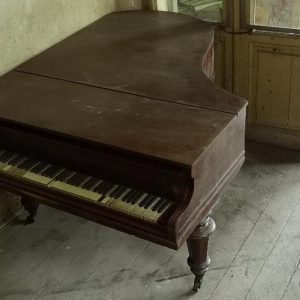 Pian - Armata Romana - imagine 3
