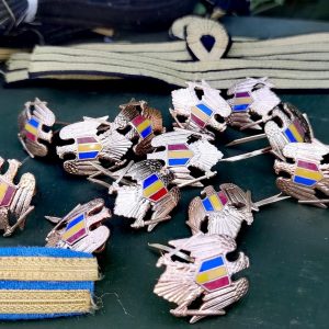 Insigne militare și semne de armată - Armata Română - imagine 3