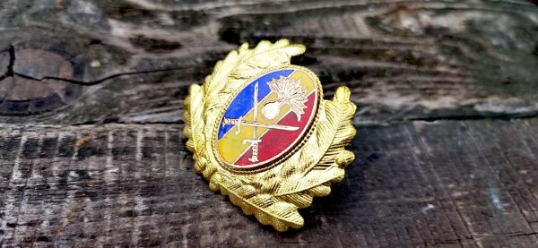 Insigne militare și semne de armată - Armata Română - imagine 6